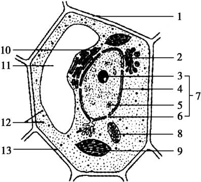 医院环境